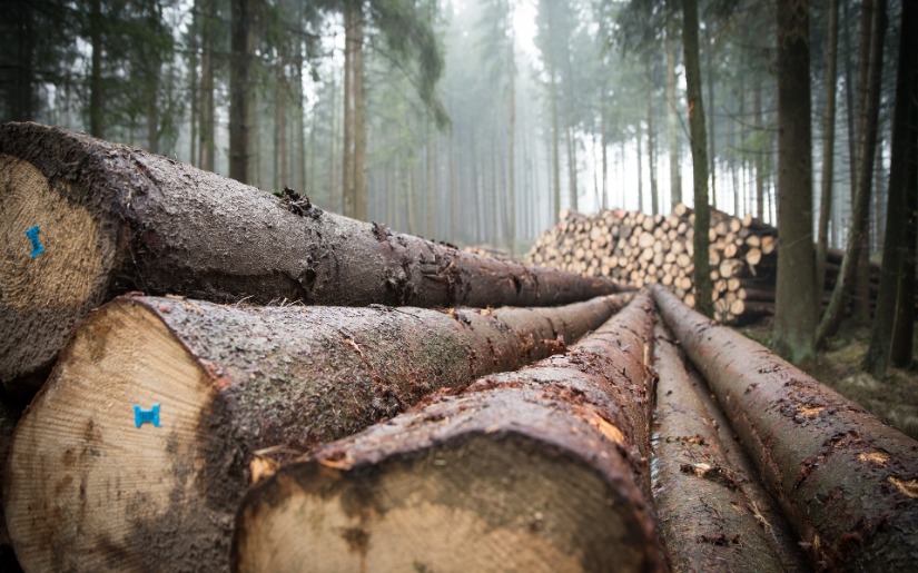 Commentary: Certification Revisits Past Challenges