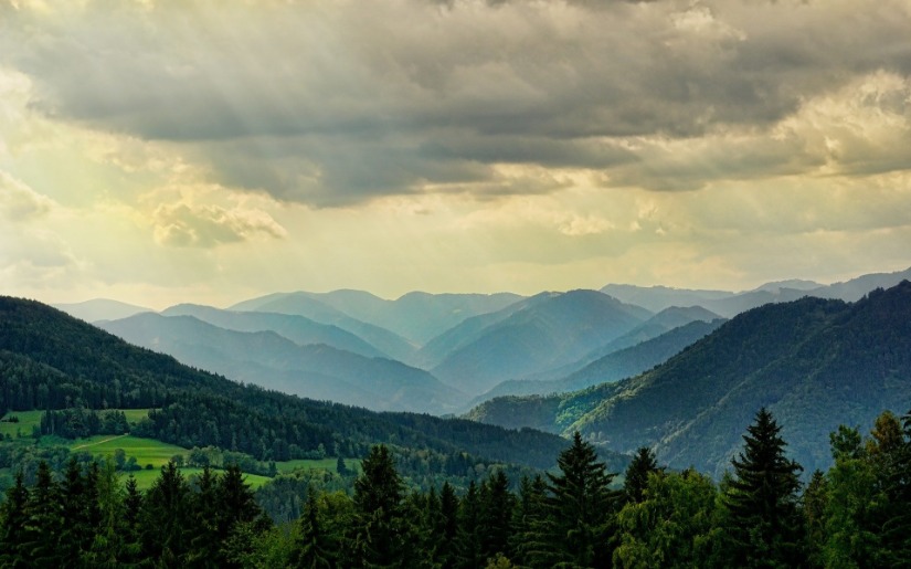 Potential Impacts of Climate and Energy Policy on Forest Sector Industries