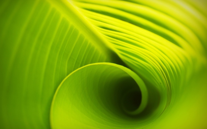 Green Marketing - Growing Sales in Growing Markets