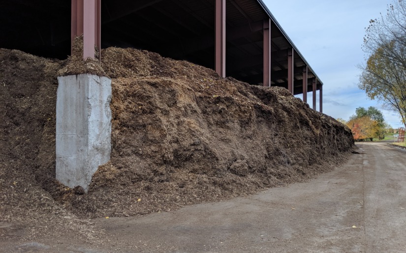 Energy from Woody Biomass