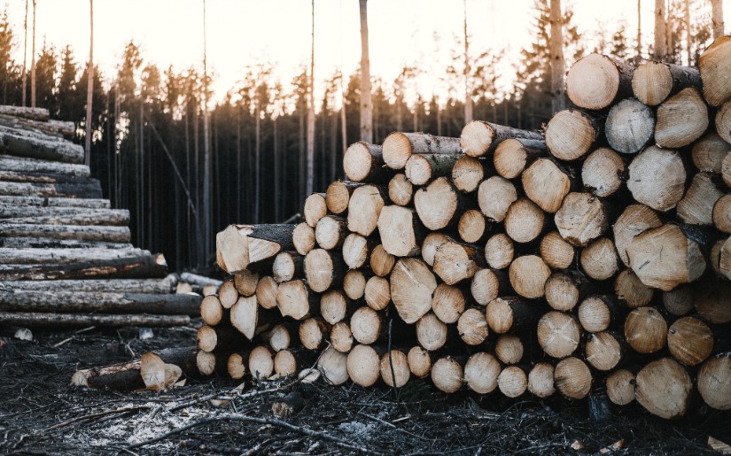 Global Competition: An Opportunity for our Domestic Wood Products Industry