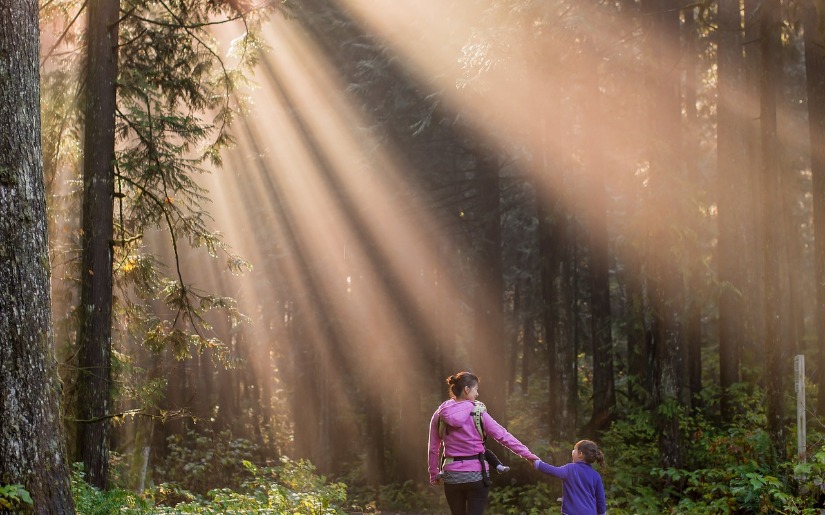 Family Forest Certification in the United States