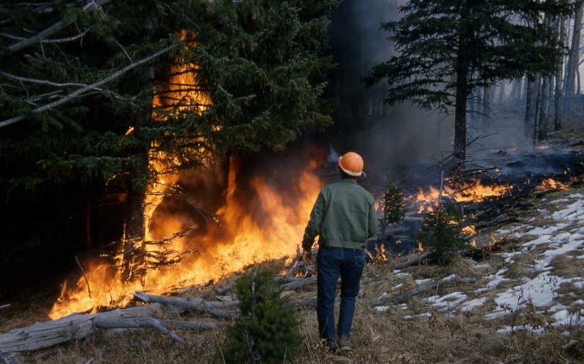 Dovetail Partners hosts webinar: Tips for Backyard Wildfire Resiliency