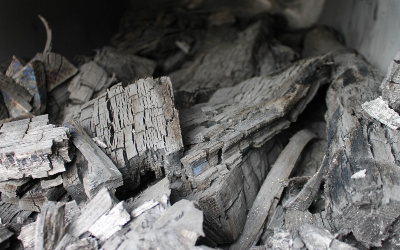 Dovetail Partners Explores Biochar Commercialization at Minnesota Roundtable